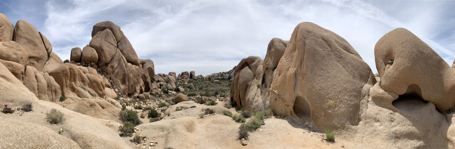 Hanging with the Flintstones at Joshua Tree